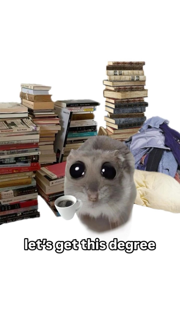 Arts 59 | English major&minor