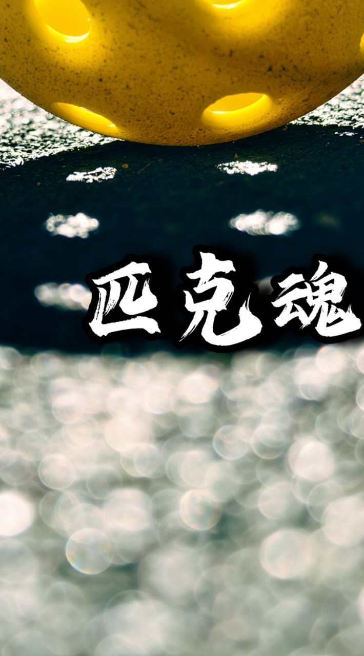 苑裡匹克球新手村