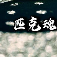 苑裡匹克球新手村