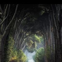 龍門客棧