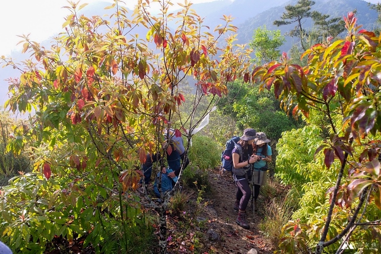 山女孩Melissa_羅馬縱走_羅葉尾山_馬武佐野郡山0708.JPG