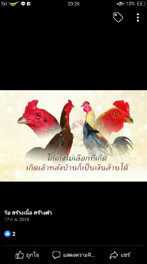 🐣🐓ซุ้มเด็กเหนือ พม่าตอคม🐣ฝากติดตามด้วยครับ