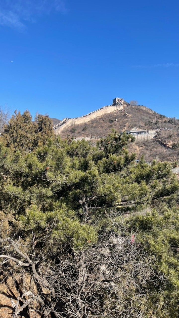 身心障礙保齡球交流群