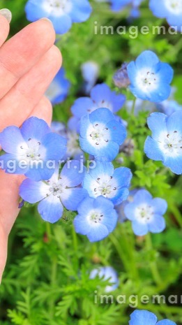 （関東50代前後）の寂しい時に寄るところ