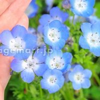 （関東50代前後）の寂しい時に寄るところ