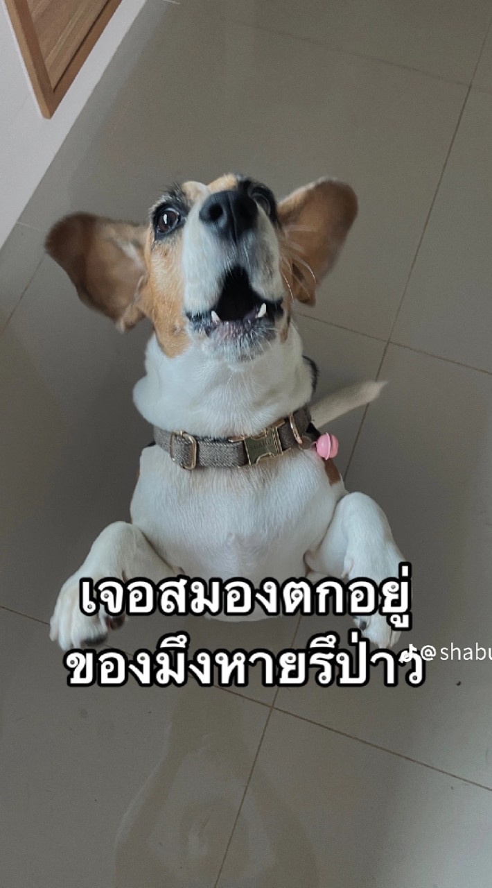 คนมีผัว2567