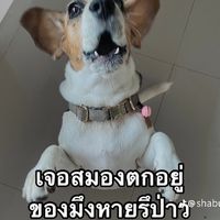 คนมีผัว2567