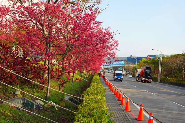 崴立機電櫻花公園