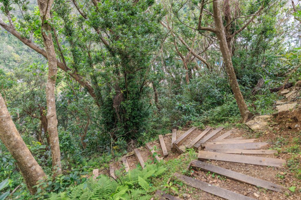 ９條宜蘭森林步道防疫秘境｜宜蘭森呼吸走步道防疫