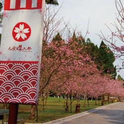 ◎中台灣最壯觀花海景觀~九族文化村櫻花祭|◎享受大自然的芬多精-日月潭風景區、溪頭森林公園、妖怪村|◎導遊司機小費100/天*2天=200元/每人種類:國內團體旅遊旅遊項目:住宿＋交通＋行程地區:中彰