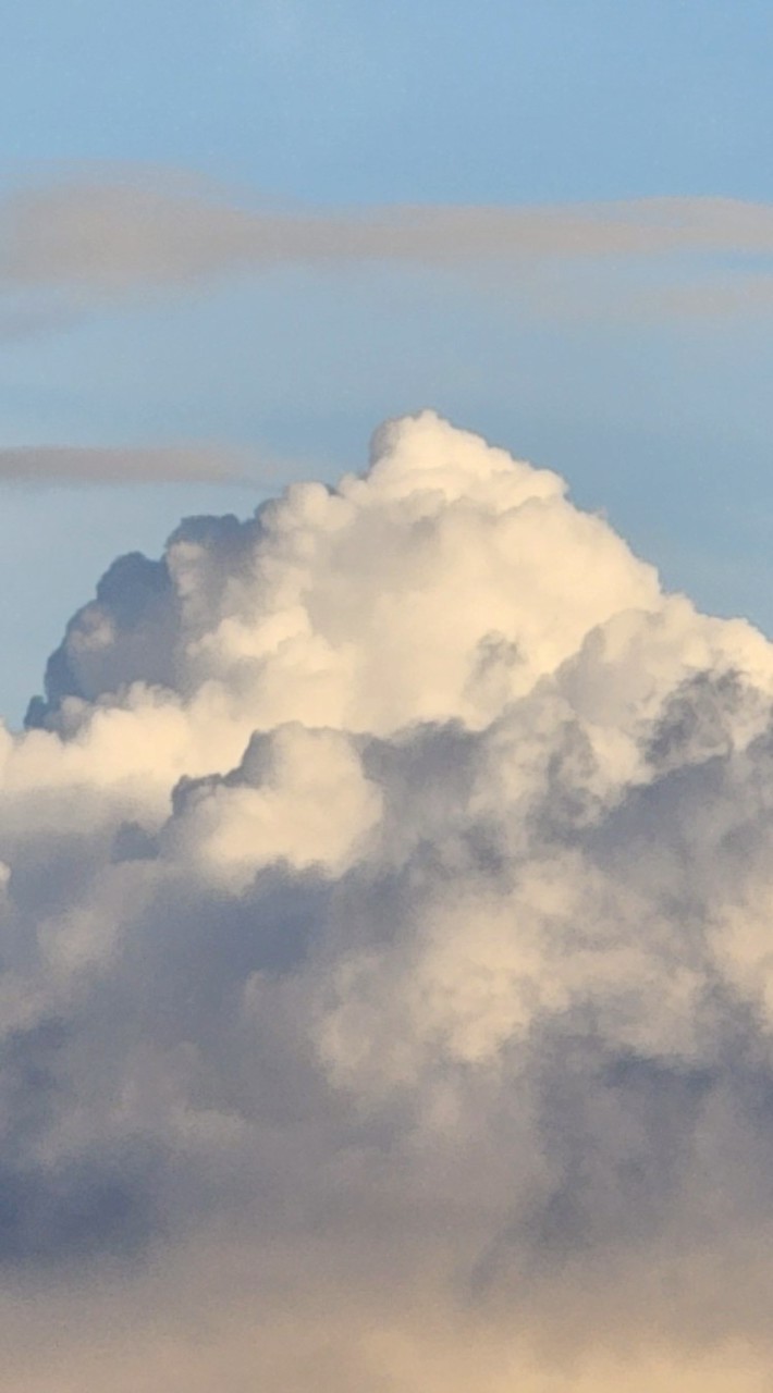 台中教育大學_禪悅佛學社