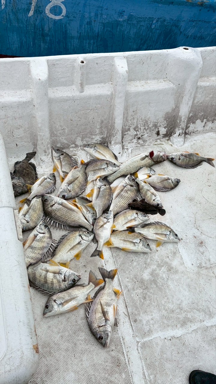 淡水船磯 黑白釣 船員證班
