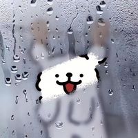 不知道要叫什麼名字🌚
