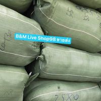 ขายส่ง B&M Live Shop98