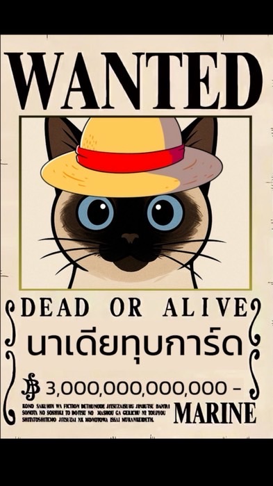 ด้อมนาเดียทุบการ์ด