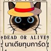 ด้อมนาเดียทุบการ์ด