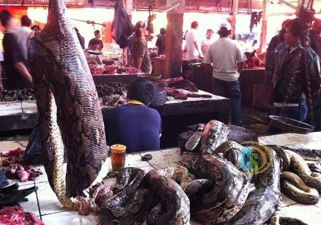 5 Destinasi di Kota Tomohon, Recommended Banget!