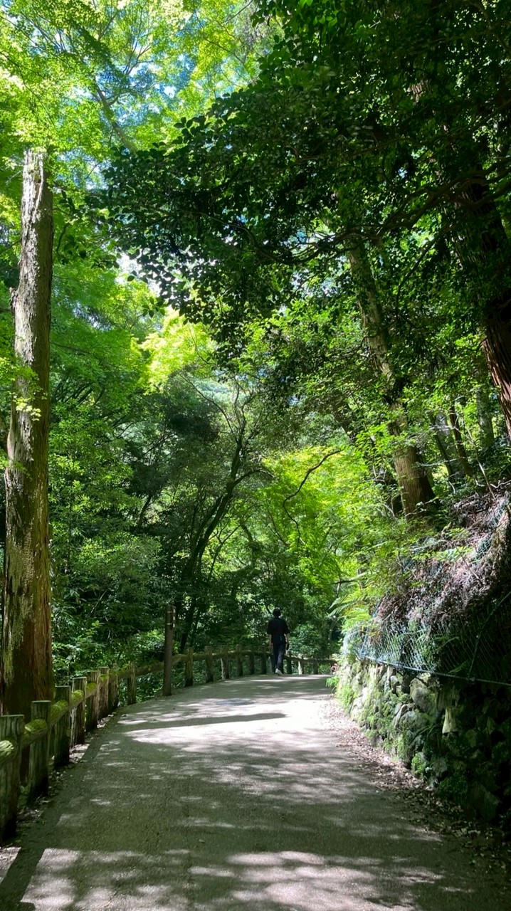 旅結び - tabimusubi -