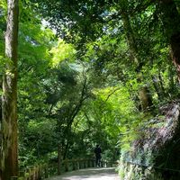 旅結び - tabimusubi -