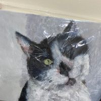 玉里國小112-1 三年三班活力英語