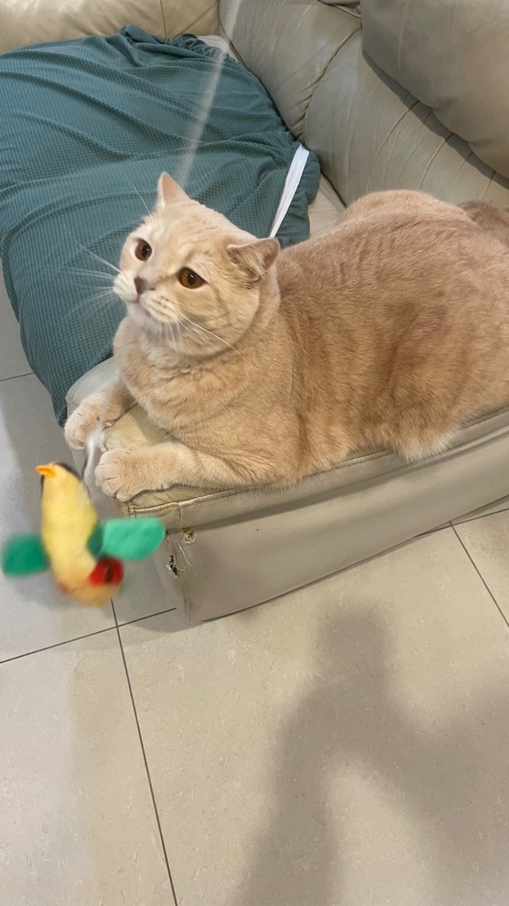 聊天/群通/熬夜/吐槽小樂園