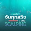 สูตรลับ จับทุกสวิง Scalping