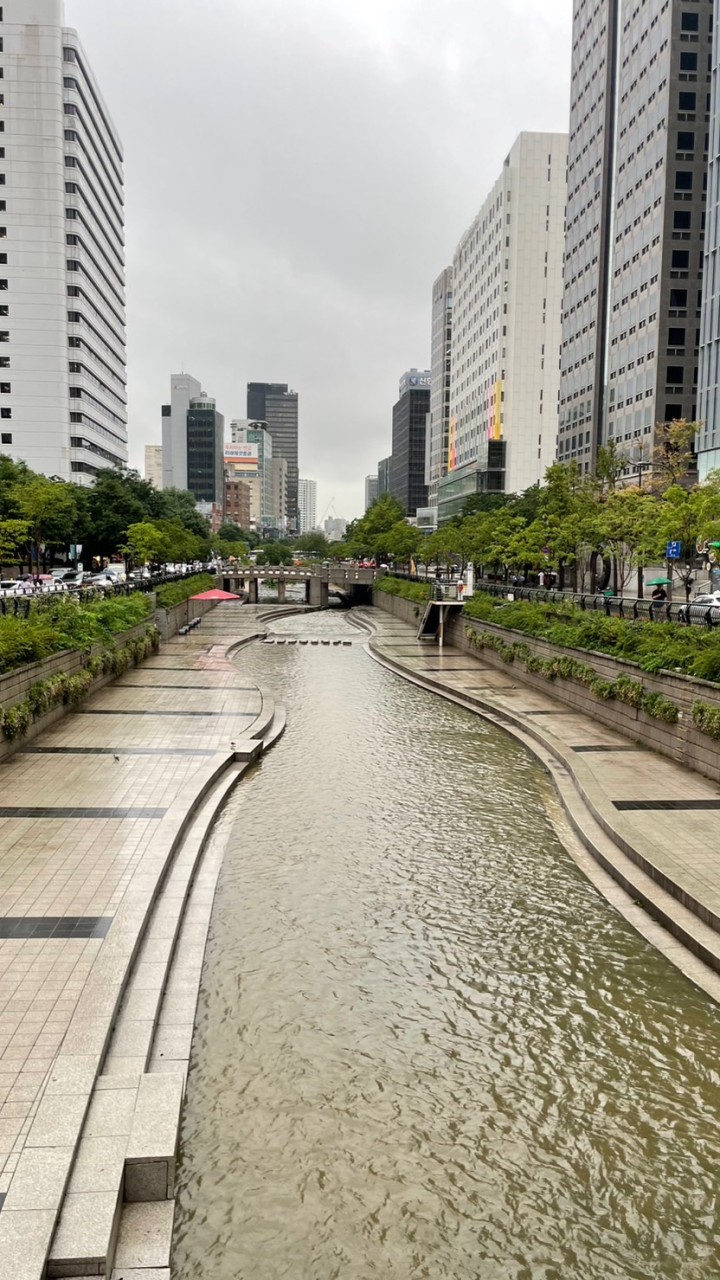 忙內 韓國代購