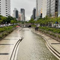 忙內 韓國代購