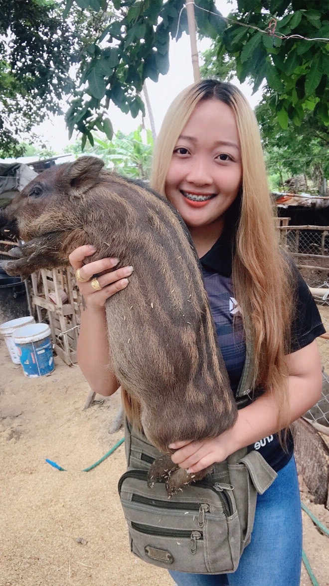 พรรณี ฟาร์ม รับซื้อหมูป่า