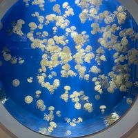 戊人子弟（高一正店）
