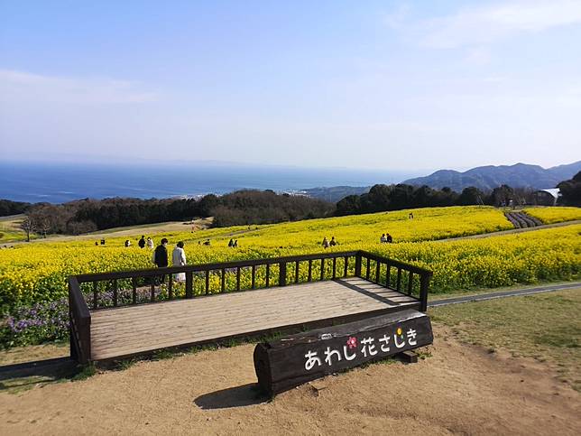 療癒勝地 淡路島 三天兩夜行程推薦 浪漫海景 絕美花海一次check 妞新聞 Line Today