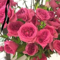 boy__elle_merci_
