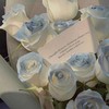 *ੈ✩櫻花之春♡ 【免宣拐】