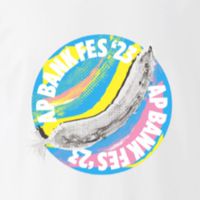 ap bank fes23 情報交換、攻略法