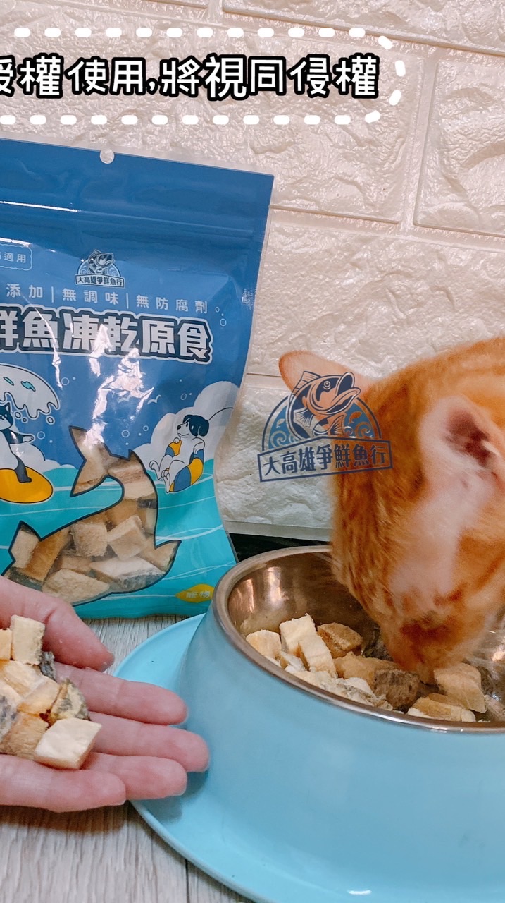 大高雄寵物食品合夥群