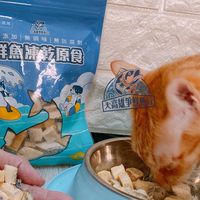 大高雄寵物食品合夥群