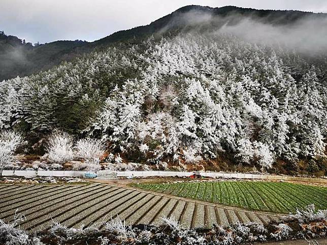 圖片提供：張燕伶