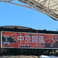 5月競馬予想