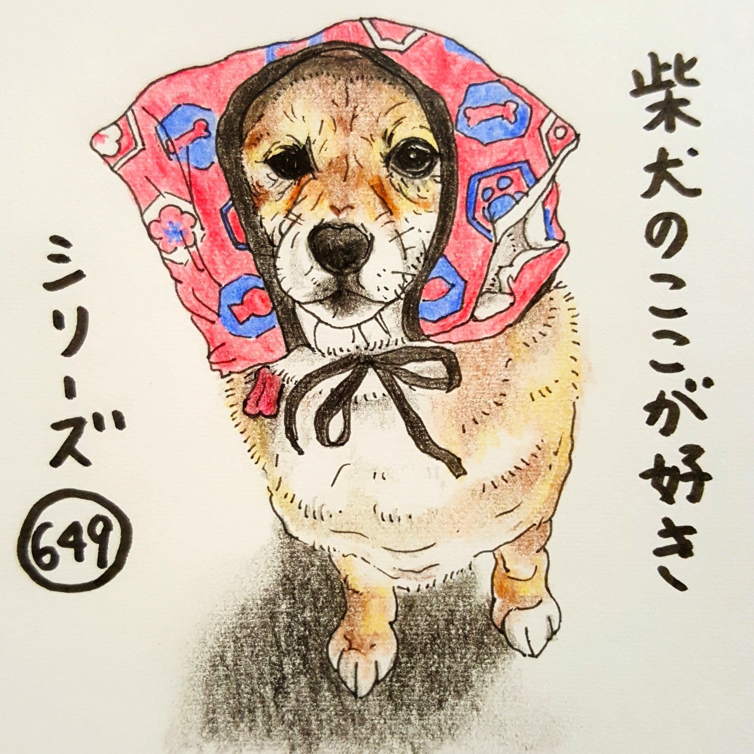 柴犬あるある 服のサイズ選び 難しくない