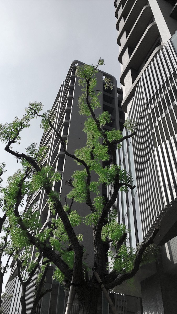 大毅樹幸福社區住戶群