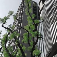 大毅樹幸福社區住戶群