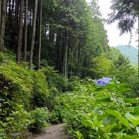 解離性障害・解離性同一性障害の方々のための居場所