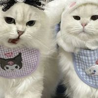 คุยเล่น