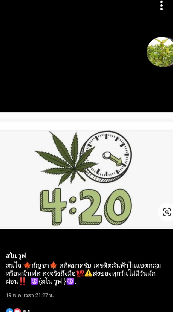 สายเขียว420@บัง