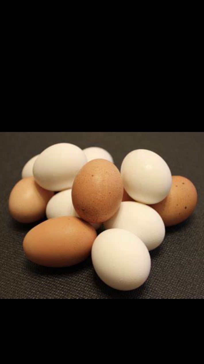 縣府線-睦豐雞蛋