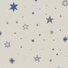 星が降る夜にあなたにあえた  ＊  全緩也