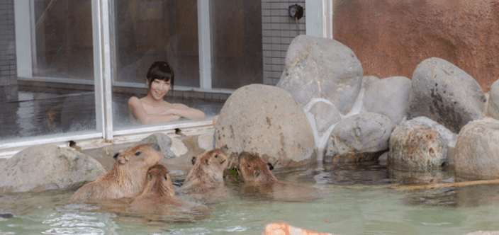 水豚 那須動物王國