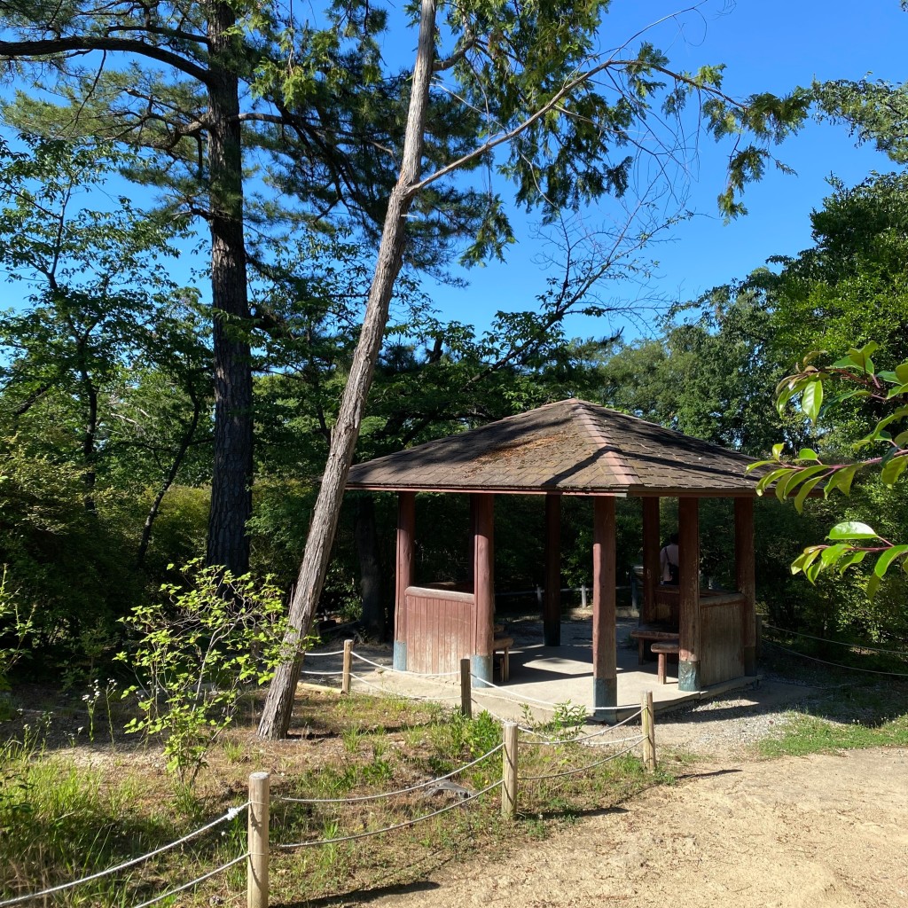 あずきりさんが投稿した大社町公園のお店広田山公園/ヒロタサンコウエンの写真