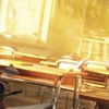紅葉の下で貴方に告白を　✴︎  折学