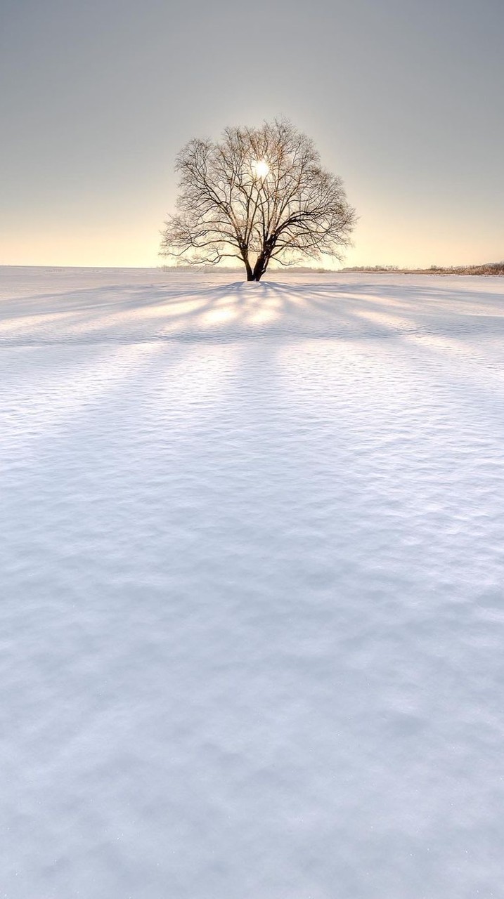 障害を持ちながら働く『未来』